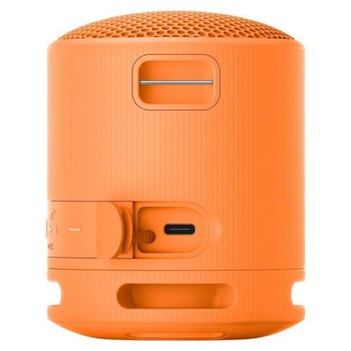 Портативная колонка Sony SRS-XB100 Orange (SRSXB100D) фото