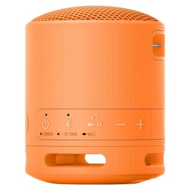 Портативная колонка Sony SRS-XB100 Orange (SRSXB100D) фото