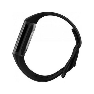 Смарт-часы Fitbit Charge 5 Black/Graphite Stainless Steel (FB421BKBK) фото