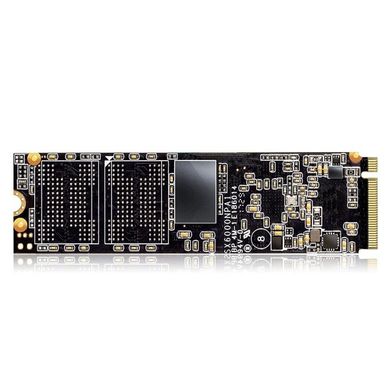 SSD накопитель ADATA XPG SX6000 256 GB (ASX6000NP-256GT-C) фото