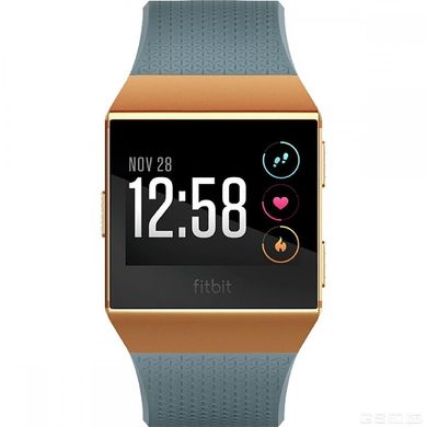 Смарт-часы Fitbit Ionic watch Slate Blue/Burnt Orange One Size (FB503CPBU) фото