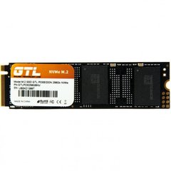 SSD накопитель GTL Poseidon 256 GB (GTLPOS256GBNVOEM) фото
