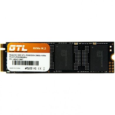 SSD накопичувач GTL Poseidon 256 GB (GTLPOS256GBNVOEM) фото