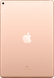 Apple A2123 iPad Air 10.5" Wi-Fi 4G 256GB Gold (MV0Q2RK/A) подробные фото товара