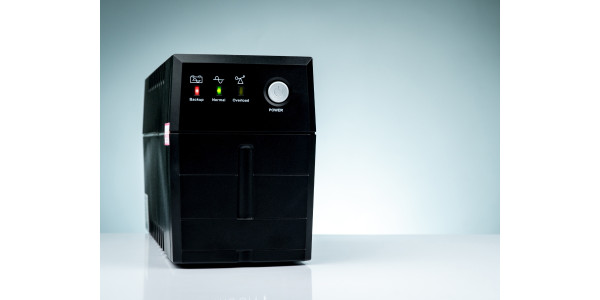 Як вибрати ДБЖ?