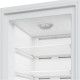 Beko B1RFNE313W