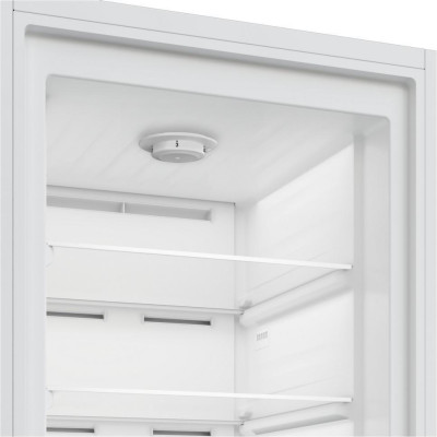 Beko B1RFNE313W