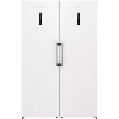 Gorenje FN619EAW6