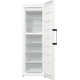 Gorenje FN619EAW6