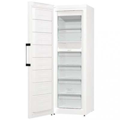 Gorenje FNP619EAW6L