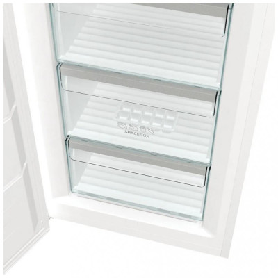 Gorenje FNP619EAW6L
