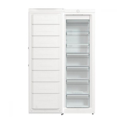 Gorenje FN619EEW5