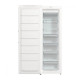 Gorenje FN619EEW5