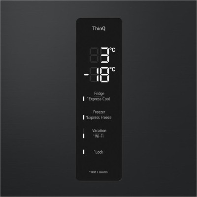 LG GC-B509FTZW