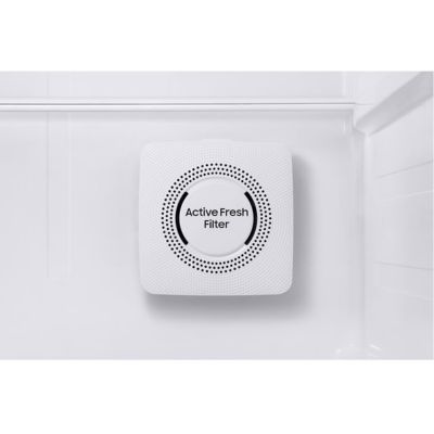 Samsung RT47CG6442WW