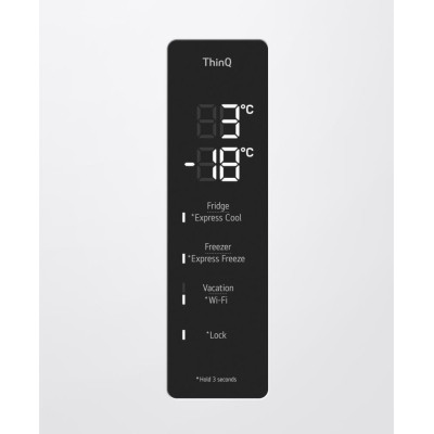 LG GW-B509FVFW