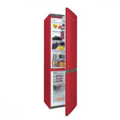 Snaige RF58SM-S5RB2F