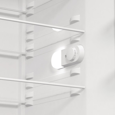 Gorenje R619FEW5