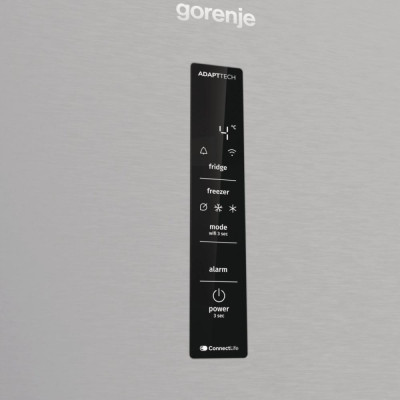 Gorenje NRB620E61X4WFE