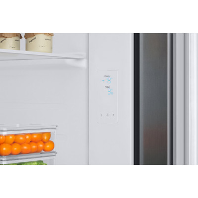 SAMSUNG RS66A8100S9