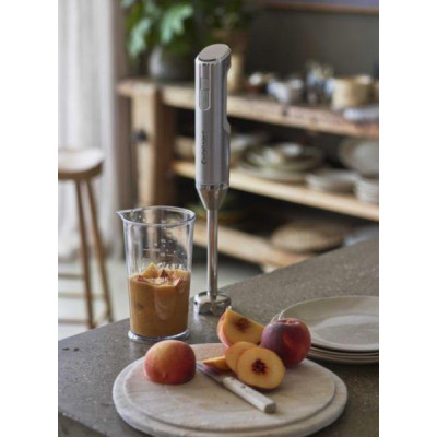 Cuisinart RHB100E