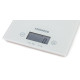 Kenwood DS401