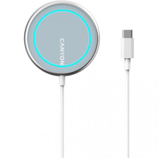 Canyon WS-100 Silver (CNS-WCS100)