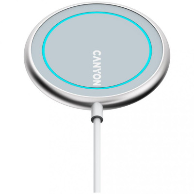 Canyon WS-100 Silver (CNS-WCS100)