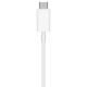 Apple MagSafe Charger (MHXH3)