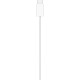 Apple MagSafe Charger 2m (MX6Y3)