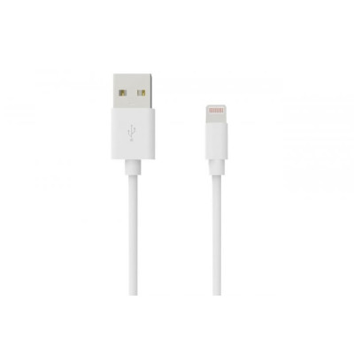 Lightning Grand-X USB-Lightning PL01W