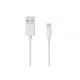 Lightning Grand-X USB-Lightning PL01W