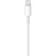 Lightning Apple Lightning для USB Cable 1m (MXLY2)