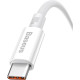 Baseus Superior Series USB Cable to USB-C Fast Charging Data 100W 1m White (P10320102214-01)