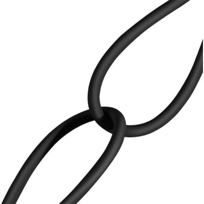 Baseus USB-C to Lightning Superior Series 1m Black (CATLYS-A01)