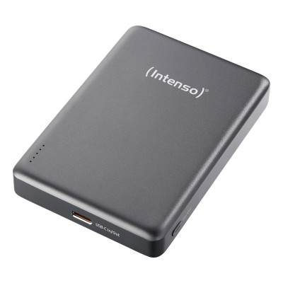 Intenso MW10000 10000 mAh Grey (7344034)