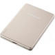 Intenso MW10000 10000 mAh Champagne (7344031)