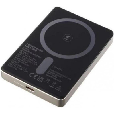 Intenso MW10000 10000 mAh Champagne (7344031)
