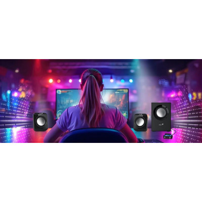 Genius SW-2.1 300 II Black (31730053401)