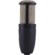AKG P220 Black (3101H00420)