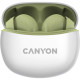 Canyon TWS-5 Green (CNS-TWS5GR)