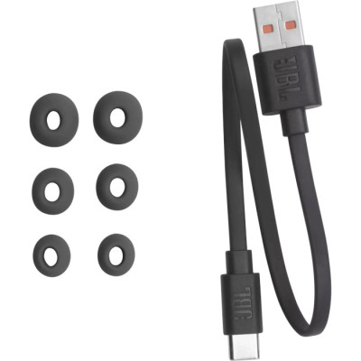 JBL Tour Pro 2 Black (JBLTOURPRO2BLK)