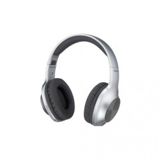 Panasonic RB-HX220BEES Gray