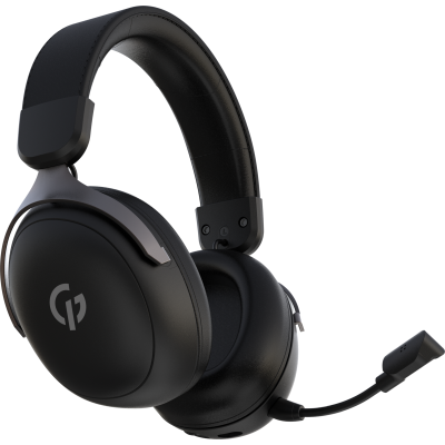 GamePro Asgard Freya Pro Black (HSW201B)