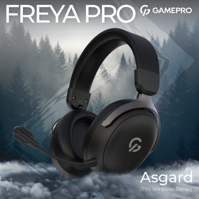 GamePro Asgard Freya Pro Black (HSW201B)