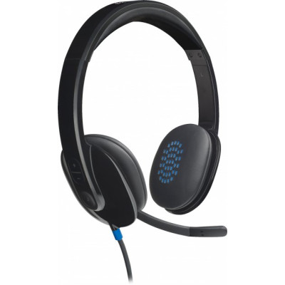 Logitech H540 USB Headset (981-000480)