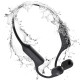 Haylou PurFree BC01 (HAYLOU-BC01-BK)