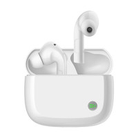 ZMI PurPods Pro White TW100ZM