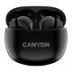 Canyon TWS-5 Black (CNS-TWS5B)