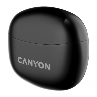Canyon TWS-5 Black (CNS-TWS5B)